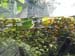 thumbnail033