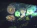 thumbnail058