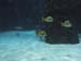 thumbnail127