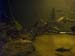 thumbnail25